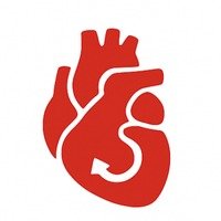 Mitral Valve Regurgitation icon