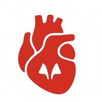 Degenerative Valve Disease icon