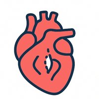 Ventricular Septal Defect icon