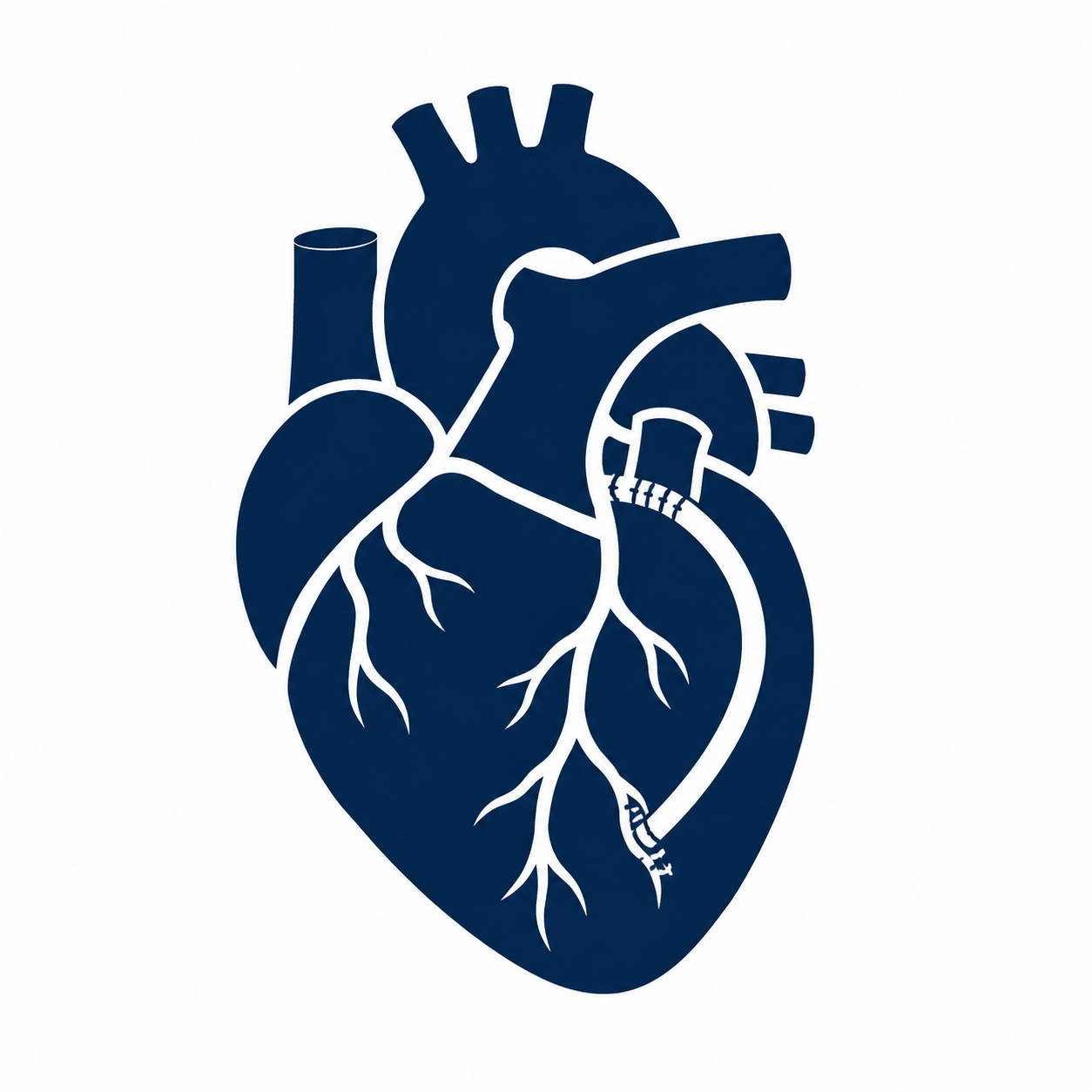Coronary Artery Bypass Graft icon